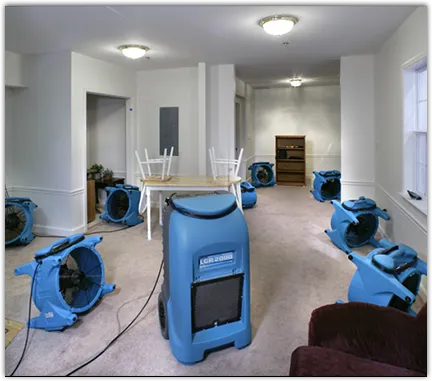 Drying & Dehumidification in Kissimmee, FL
