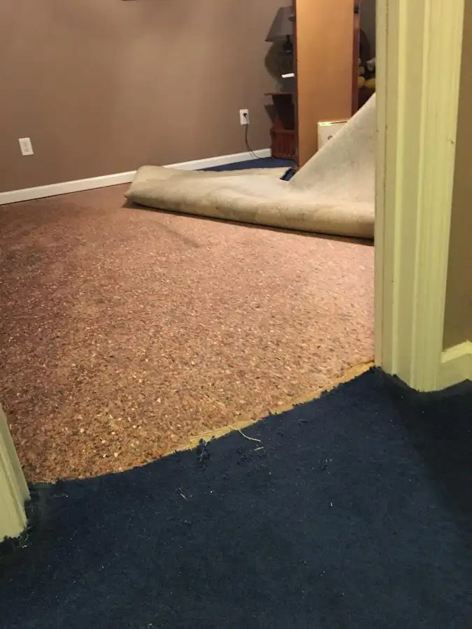Carpet pad removal revealing water damage during Drying & Dehumidification in Kissimmee